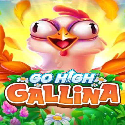 Exploring the Dynamic World of GoHighGallina on 78F⭐️