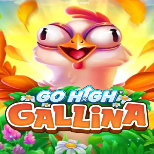 Exploring the Dynamic World of GoHighGallina on 78F⭐️